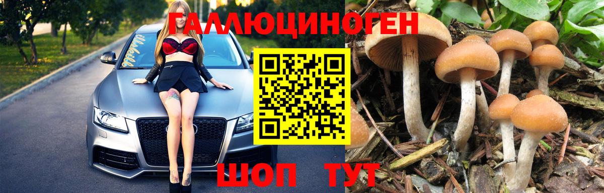Галлюциногенные грибы ЛСД Североуральск